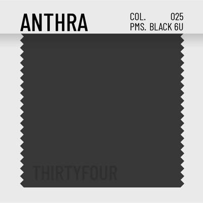 ANTHRA 025